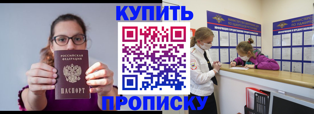прописка 2025 в Звенигово